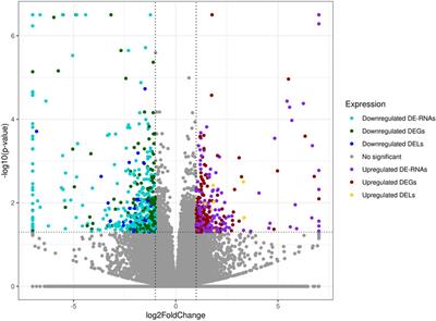 A comprehensive transcriptomic analysis of the bisphenol A affected kidney in mice